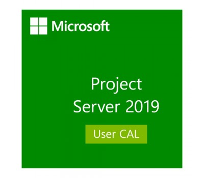 Лицензия Microsoft Project Server 2019 User CAL (DG7GMGF0F4LF0001)